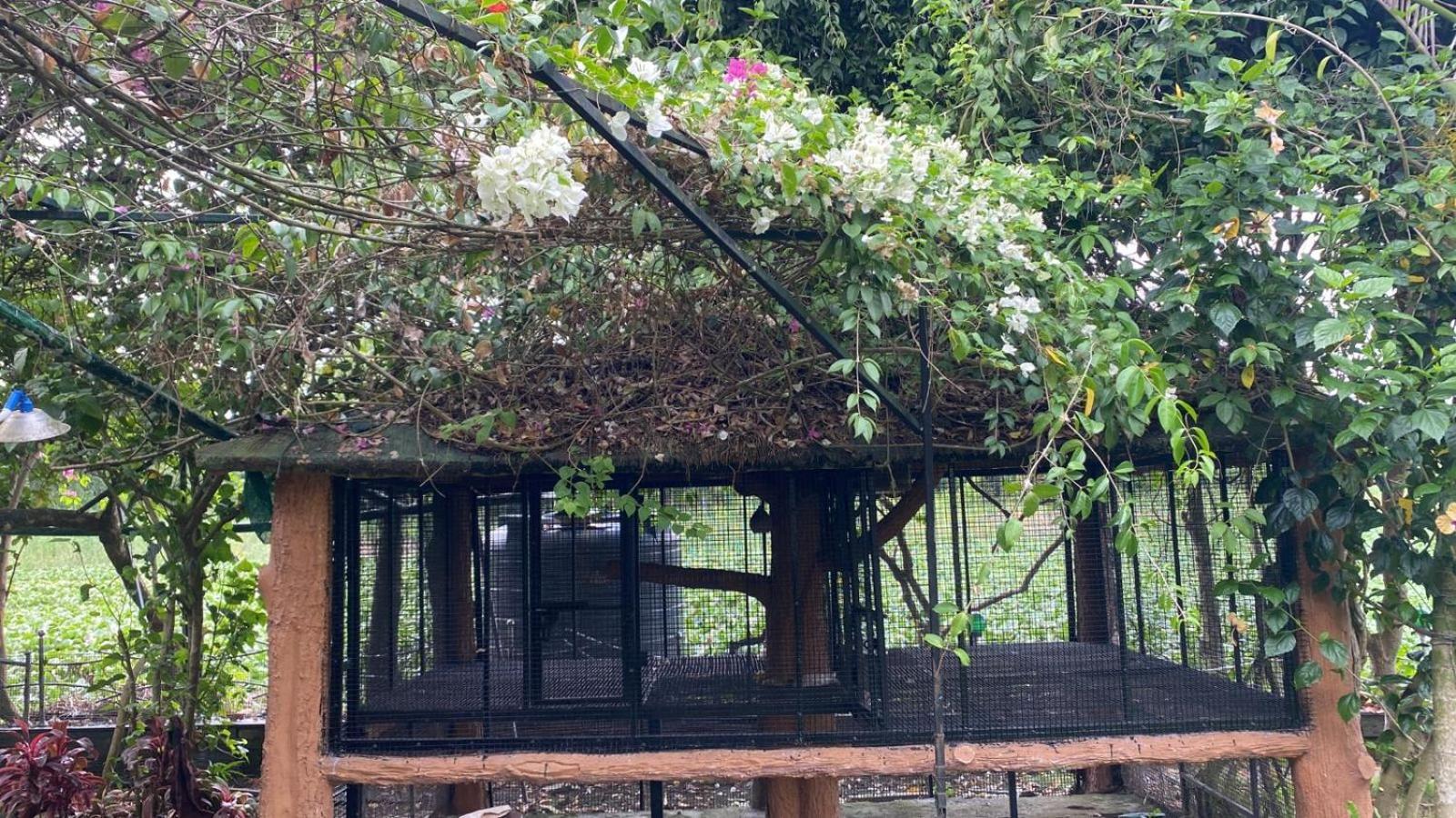 Dew Drop Dolphin Homestay Kochi