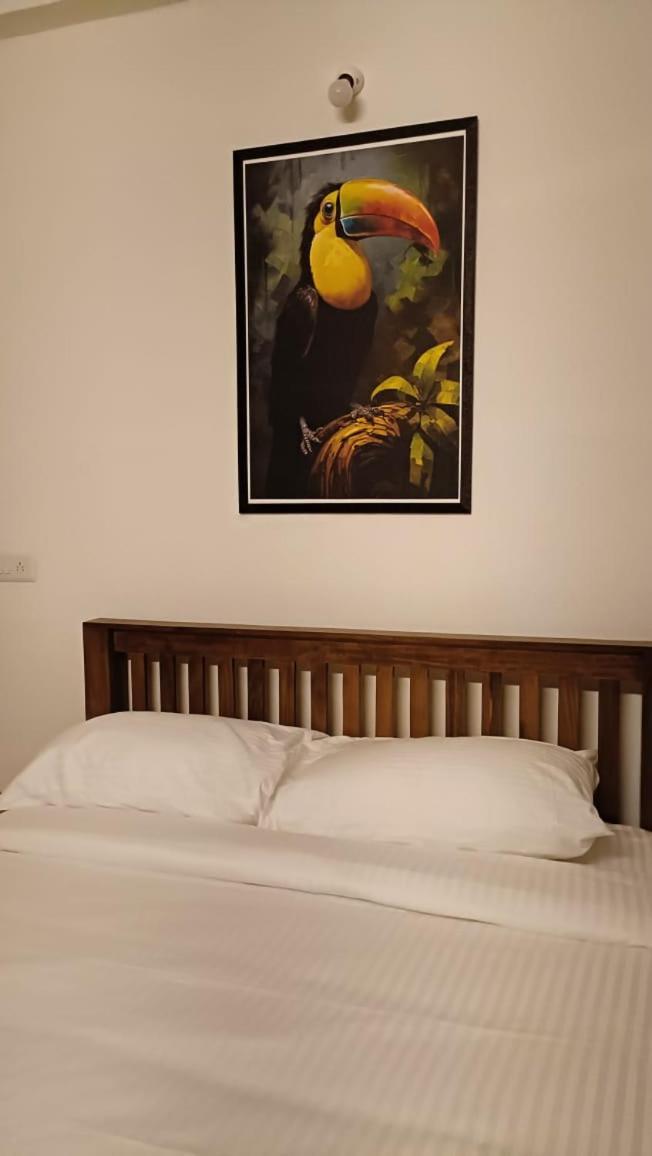 Serenity 3*