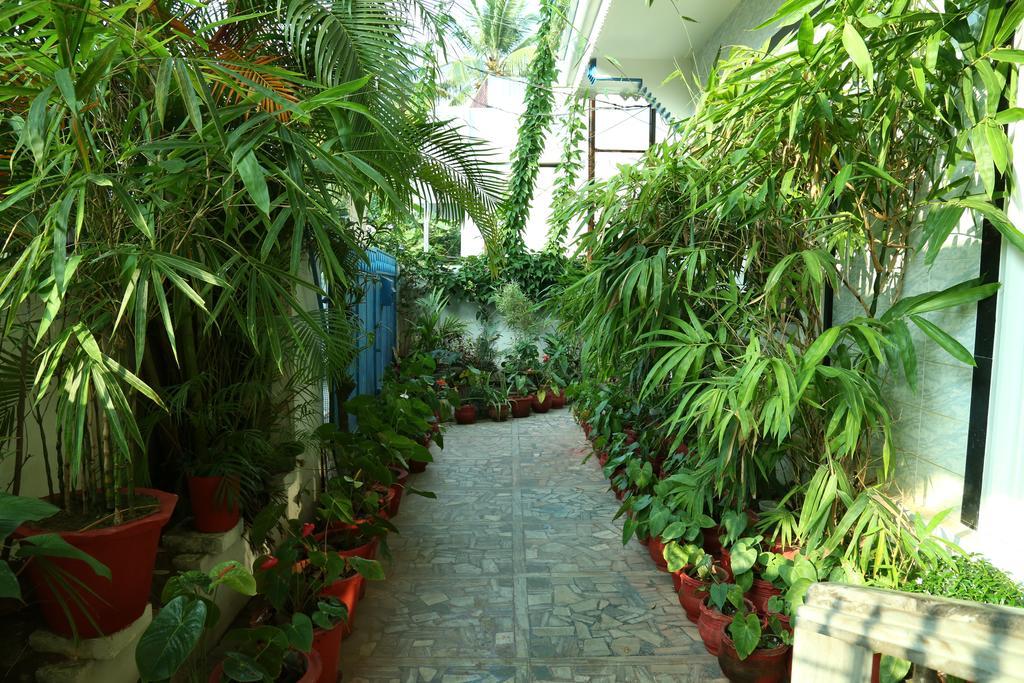 Dream Catcher Homestay Kochi