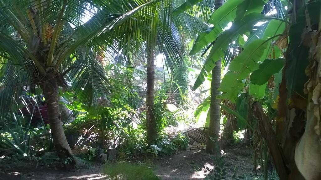 Homestay Coconut Grove