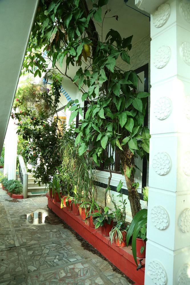 Dream Catcher Homestay