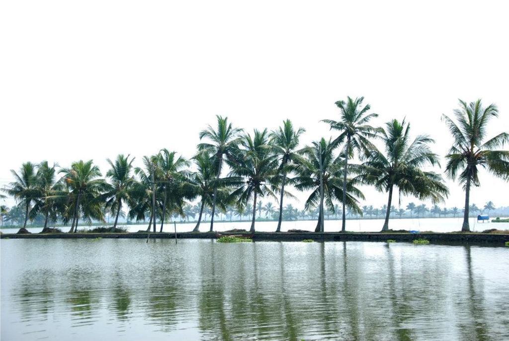 Homestay Akshay