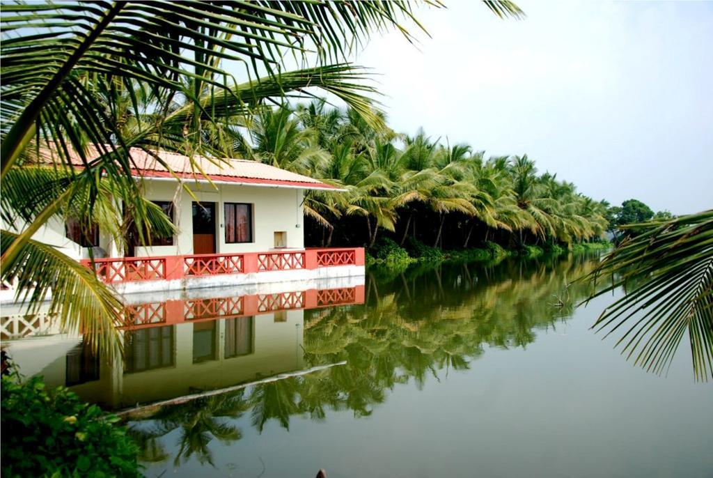 Akshay Kochi