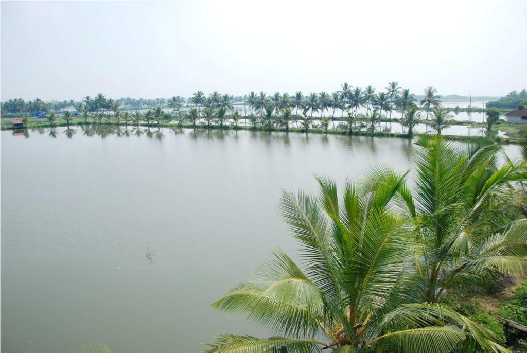 Homestay Akshay *