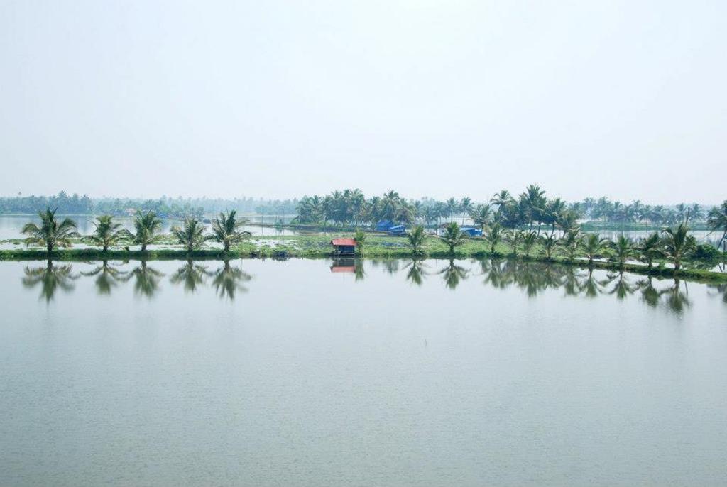 Akshay Kochi