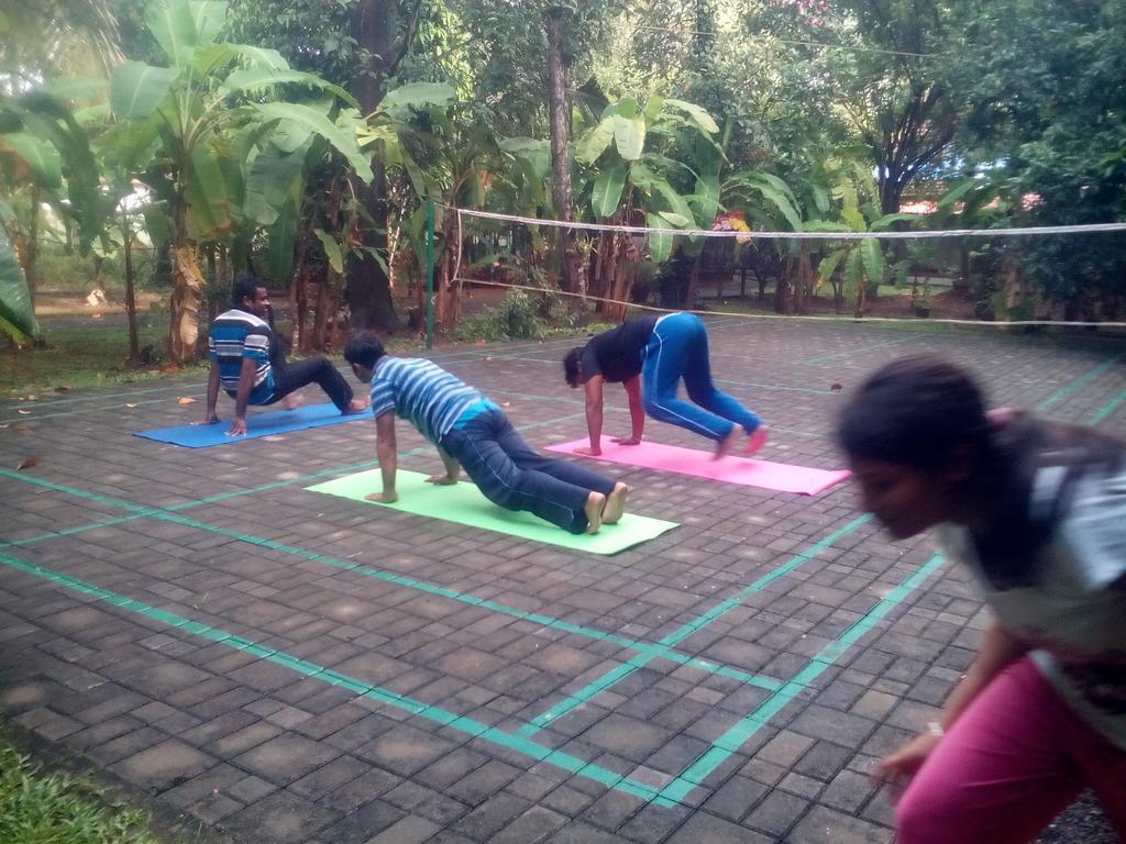 Palm Grove Service 2* Kochi