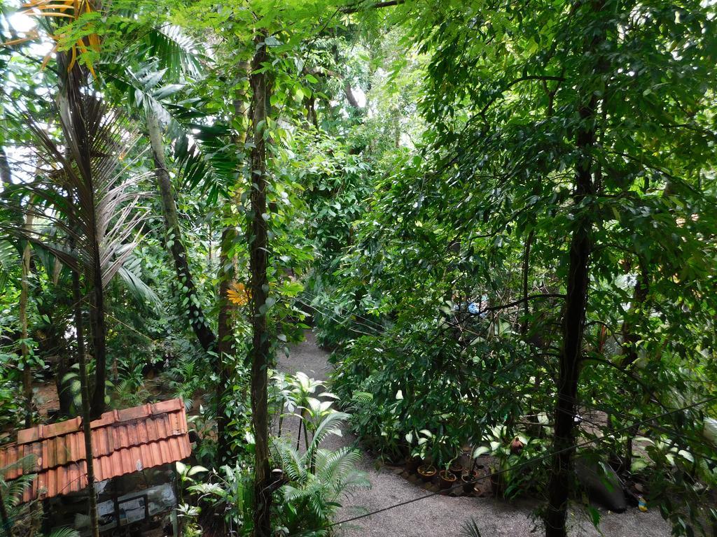 Green Woods Bethlehem Guest house *