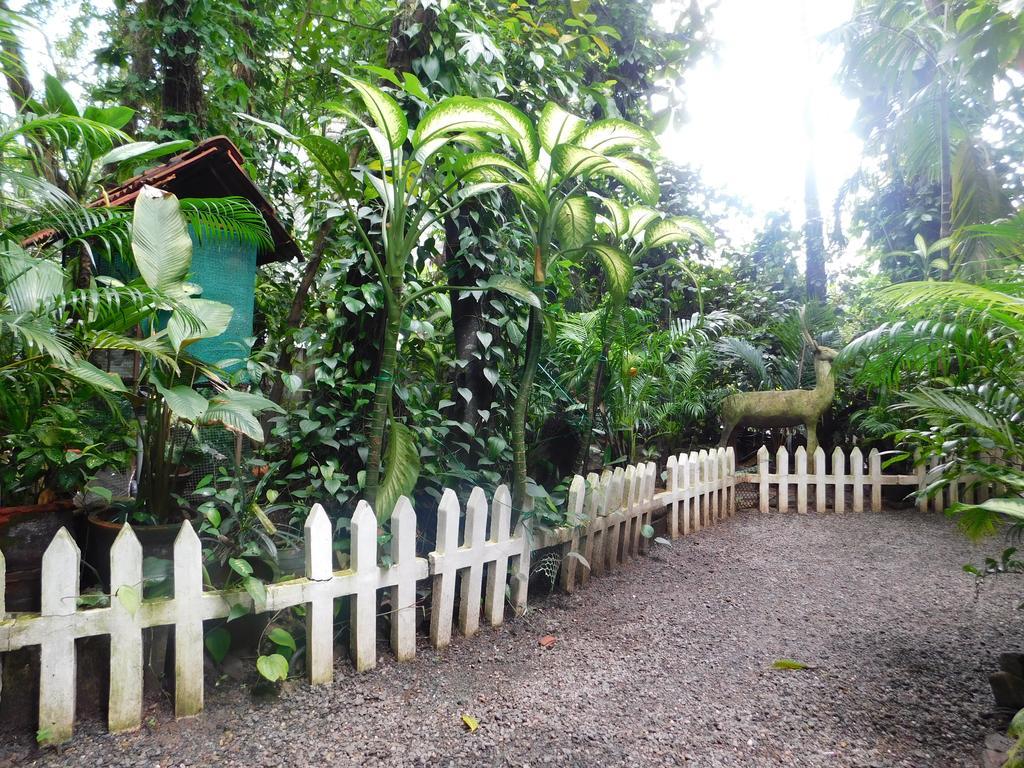 Green Woods Bethlehem * Kochi