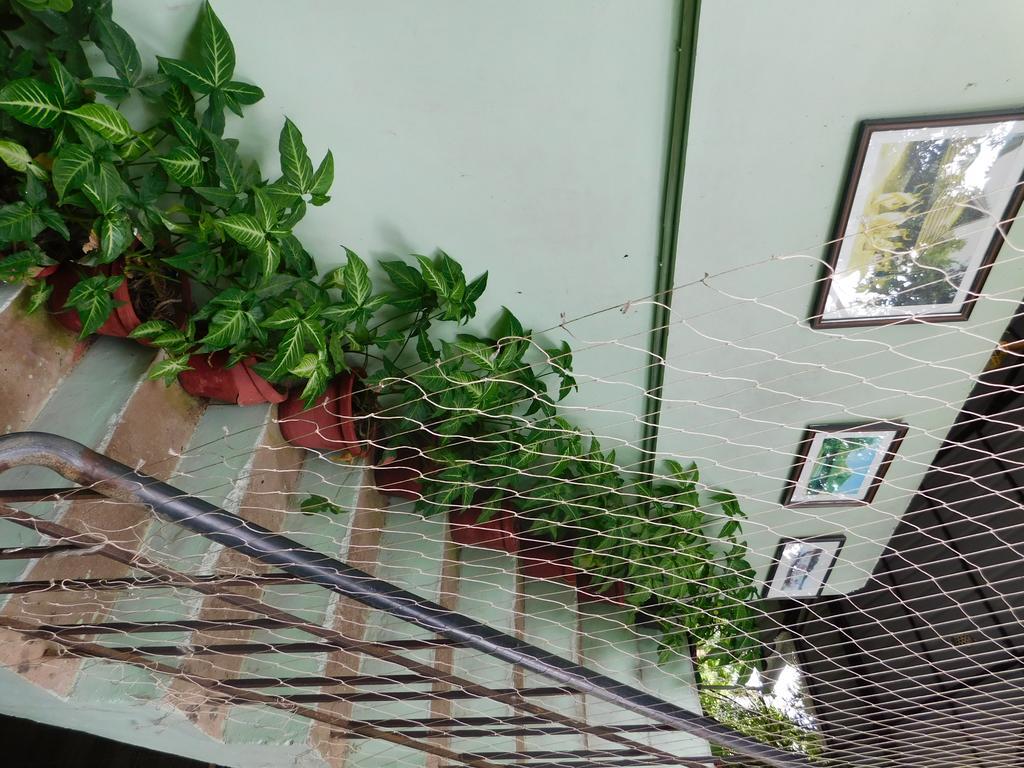 Green Woods Bethlehem Kochi