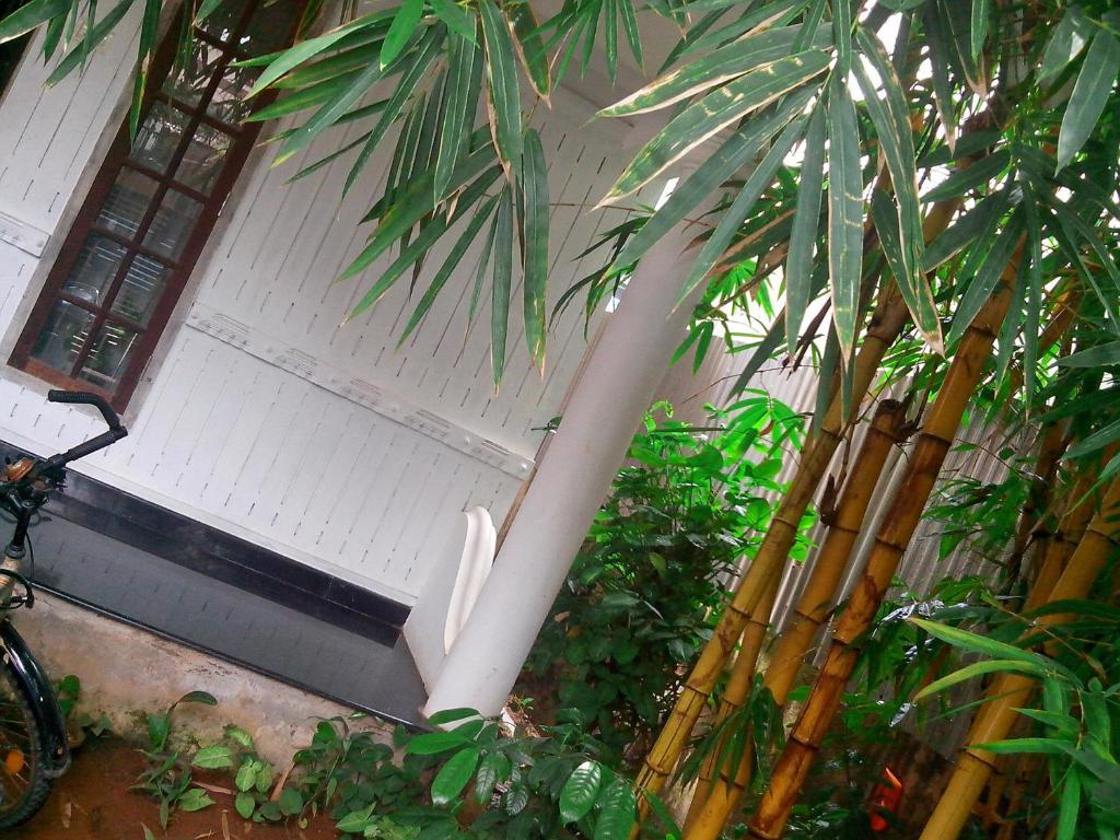 Adams Wood House Ayurveda