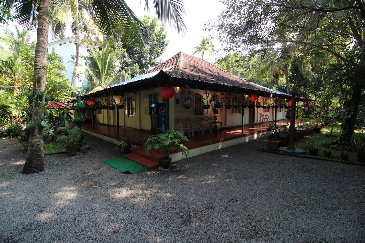Bed & Breakfast Palm Grove Service 2*
