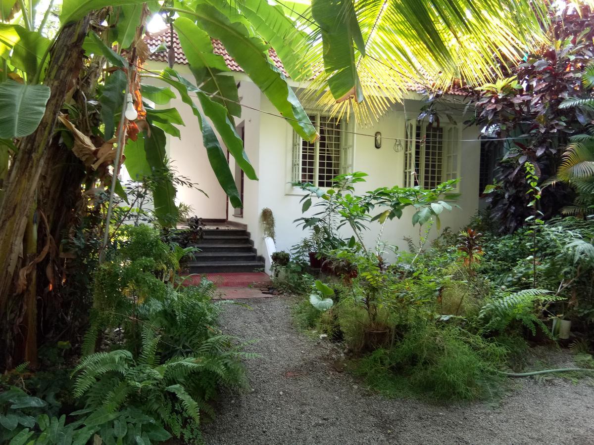 Coconut Grove Homestay Kochi