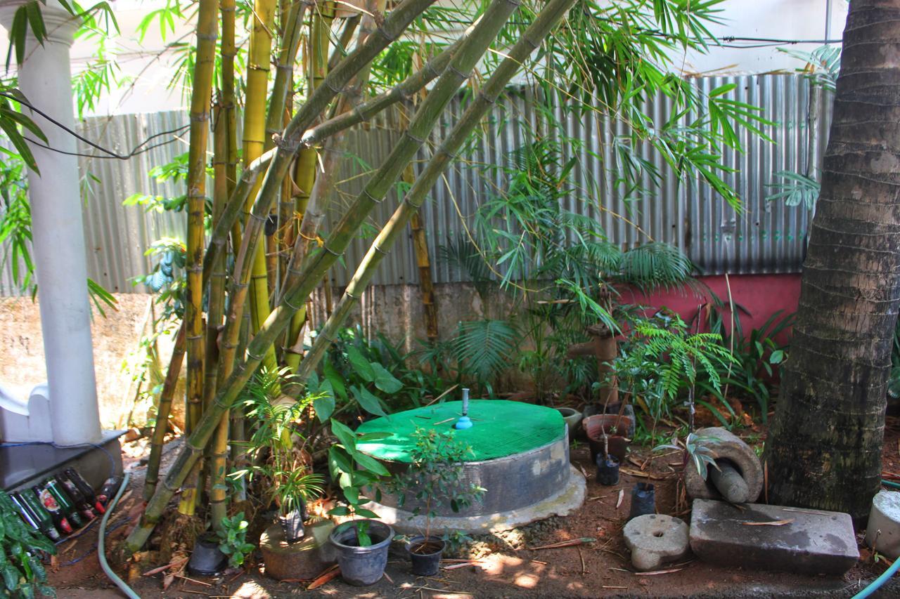Adams Wood House Ayurveda Homestay Kochi