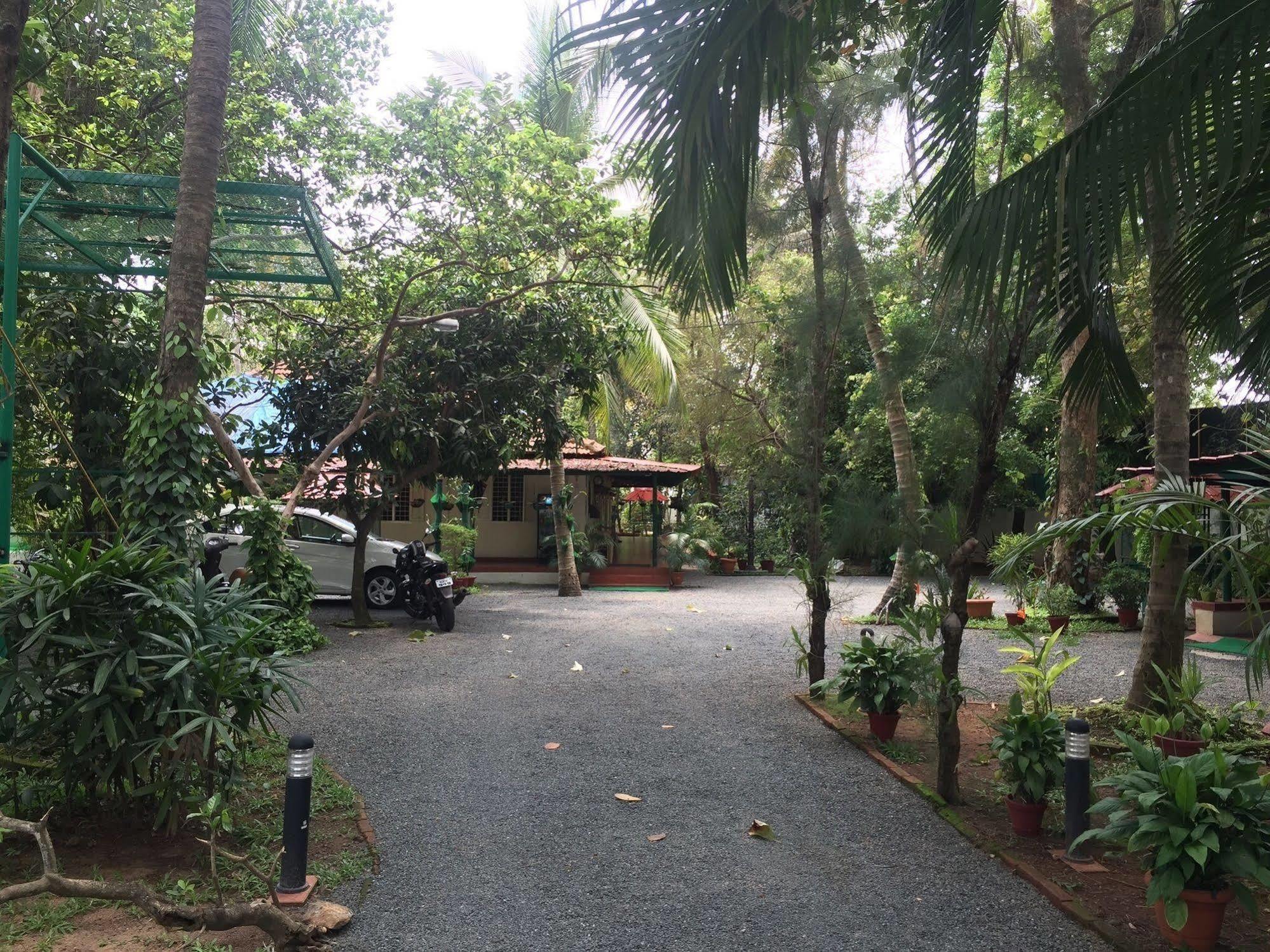 Palm Grove Service Bed & Breakfast
