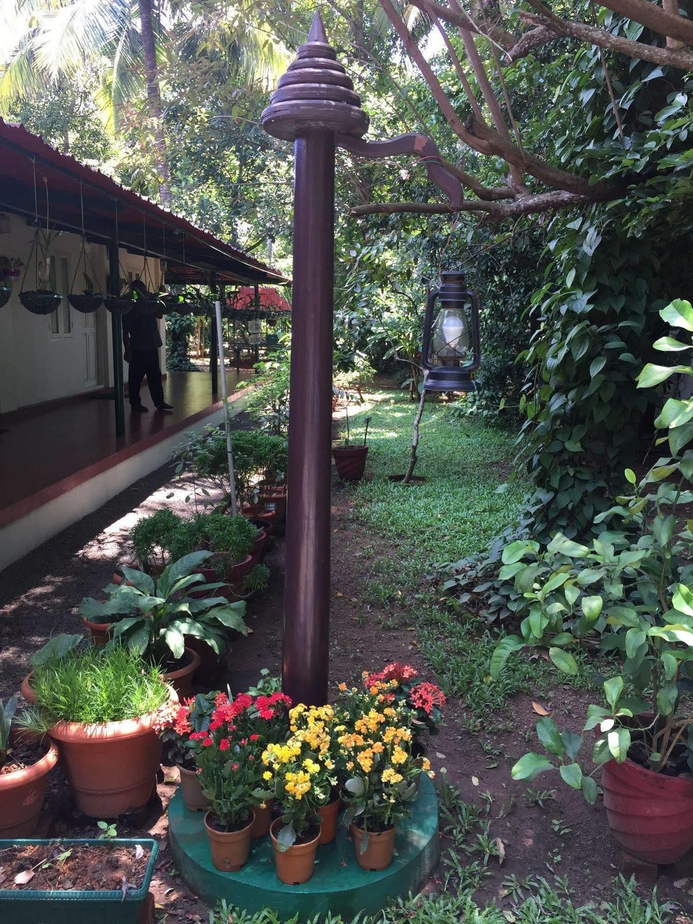 Palm Grove Service 2*