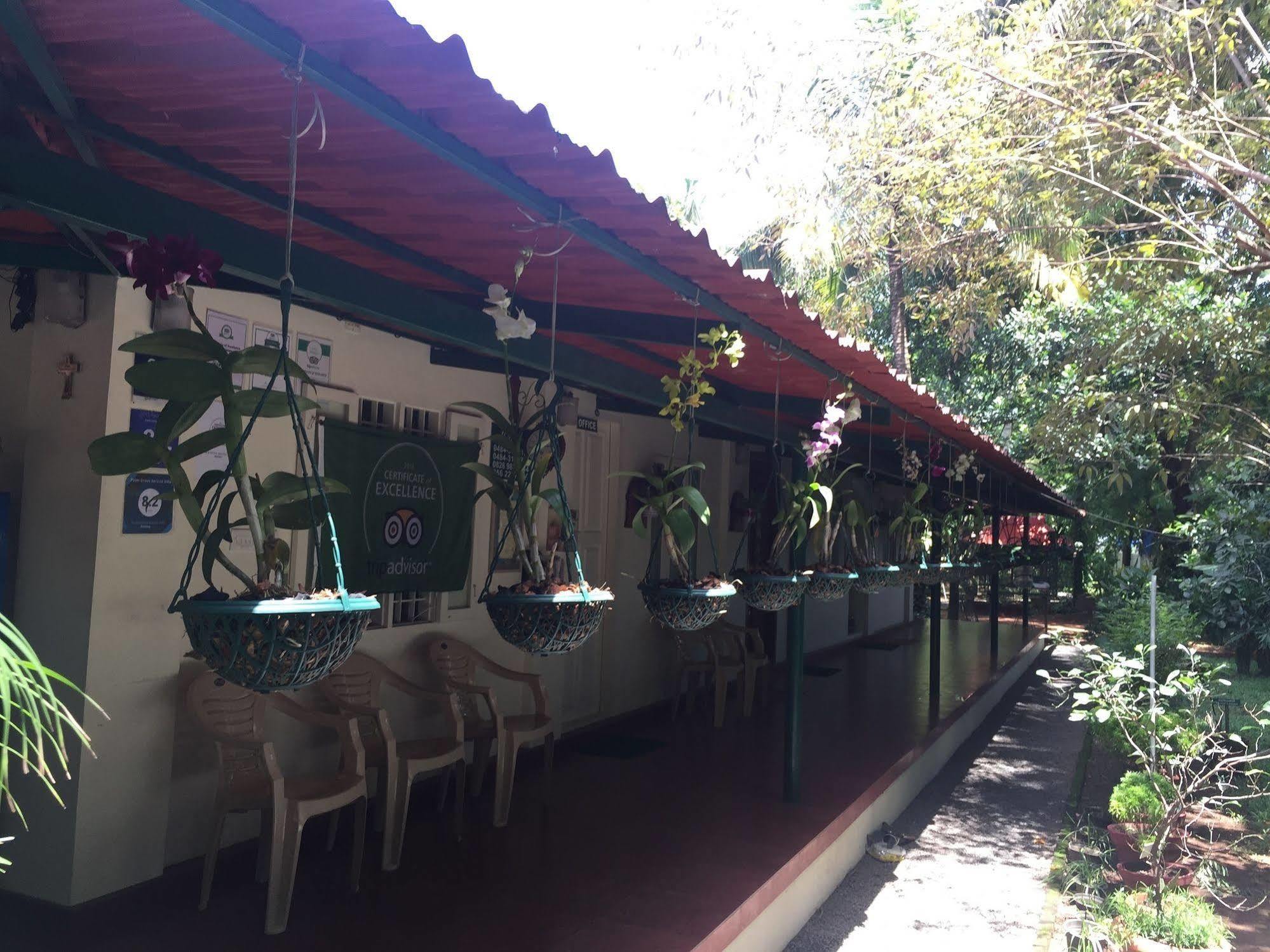 Palm Grove Service