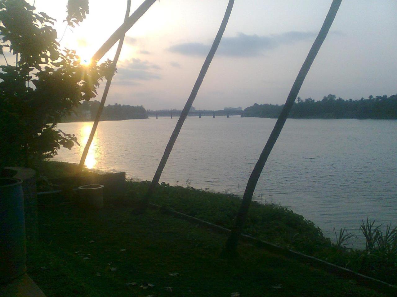 Lazy Gaze * Kochi
