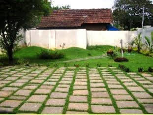 Orion Skywings Homestay Kochi