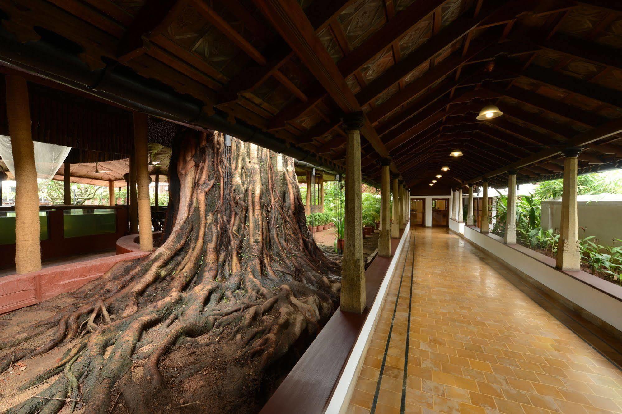 Casino - Cgh Earth, Cochin 5*
