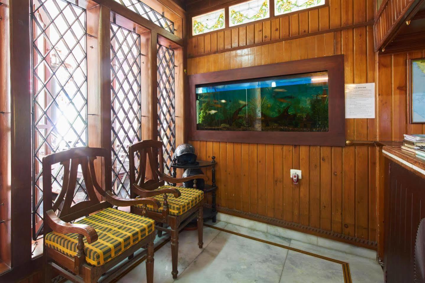 Bed & Breakfast White Rose Kochi