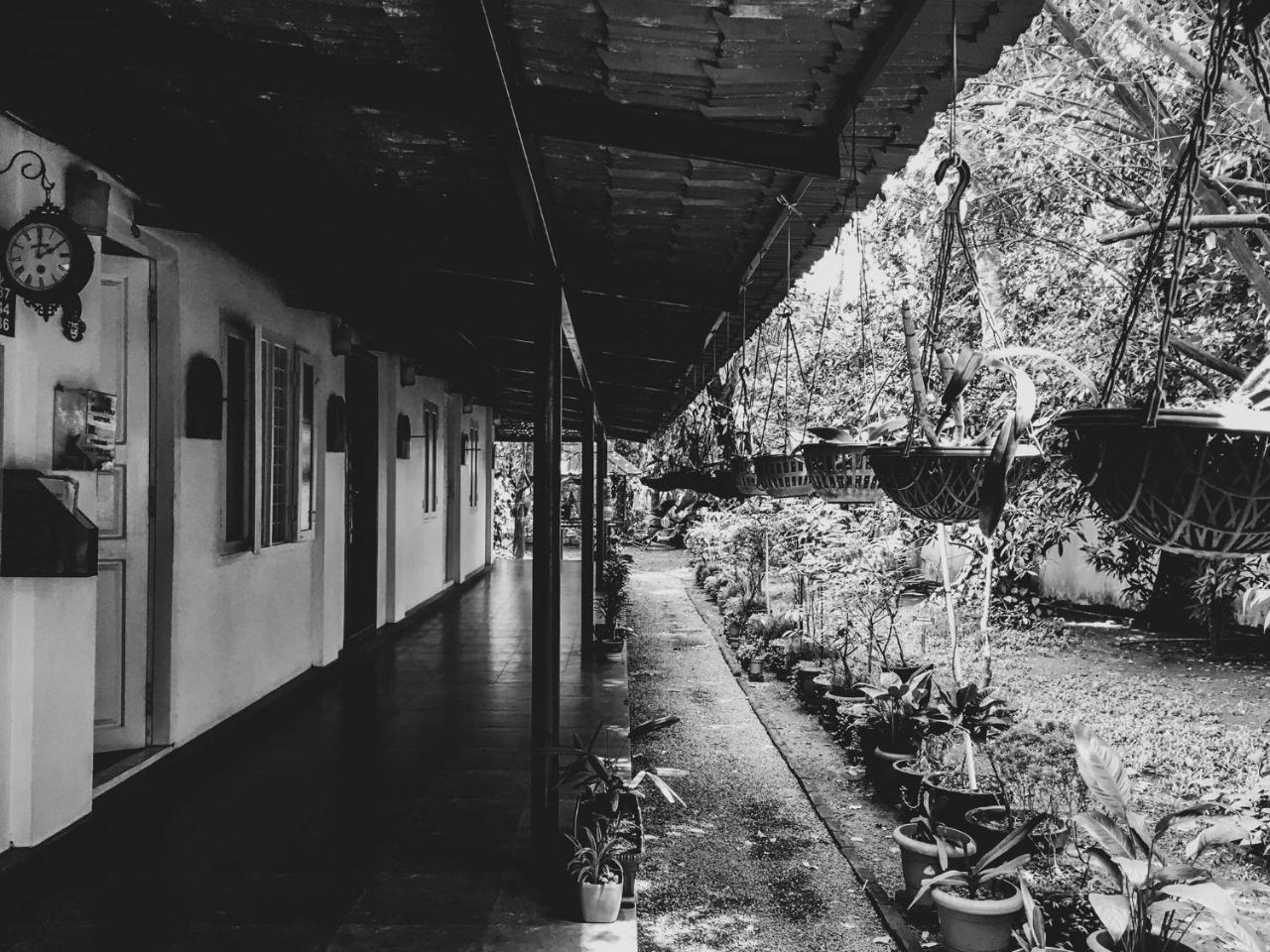 Palm Grove Service Bed & Breakfast 2*