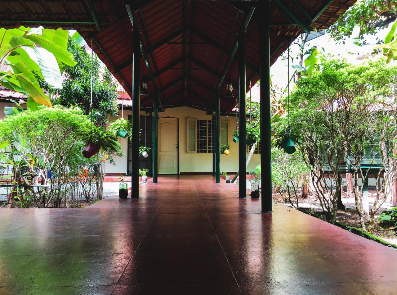Bed & Breakfast Palm Grove Service Kochi