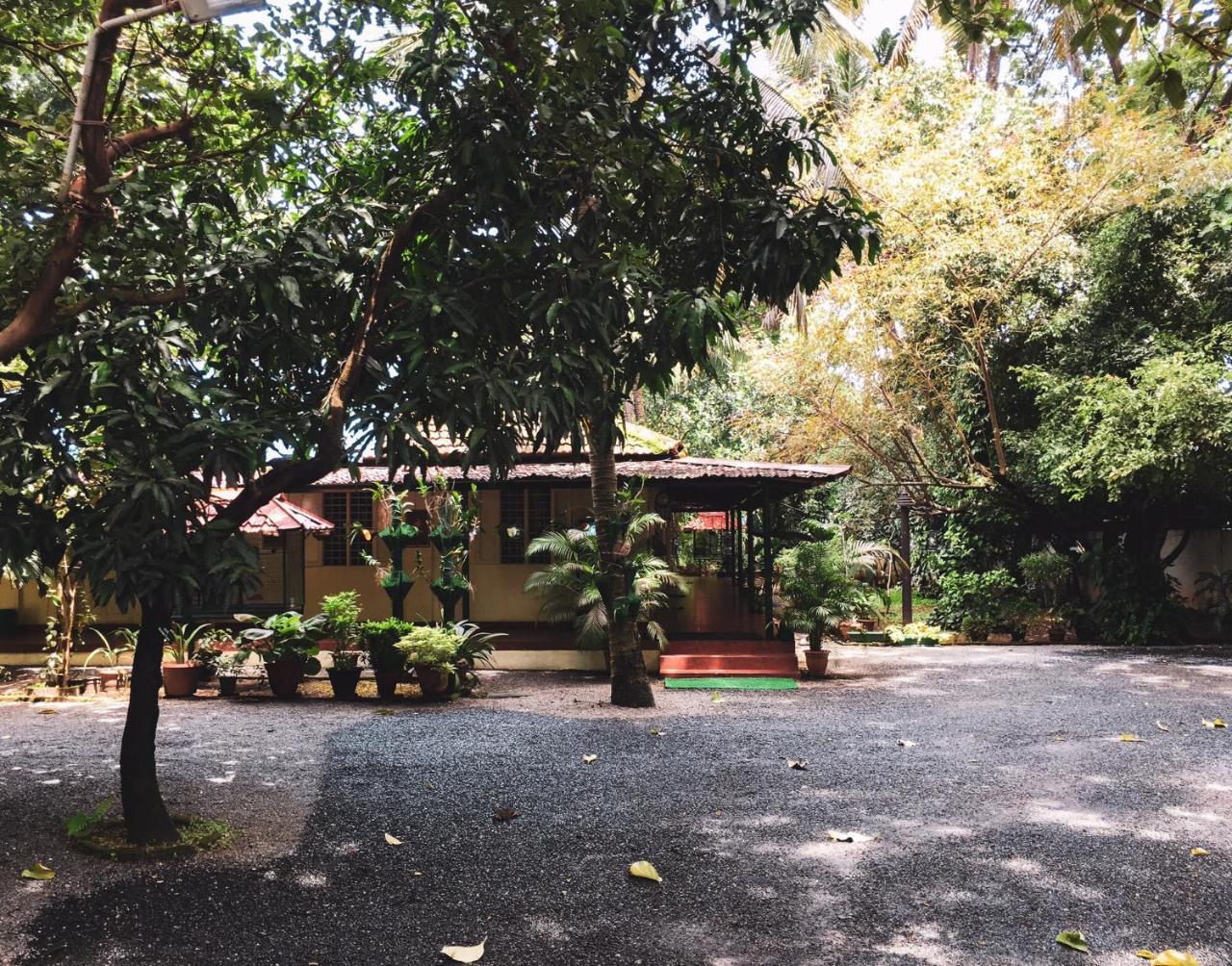 Palm Grove Service Bed & Breakfast