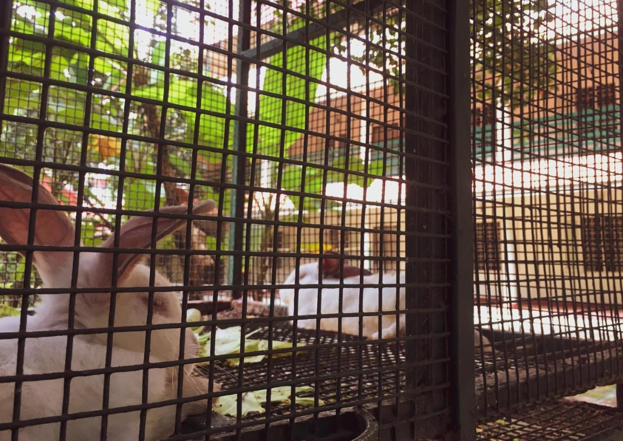 Palm Grove Service Bed & Breakfast