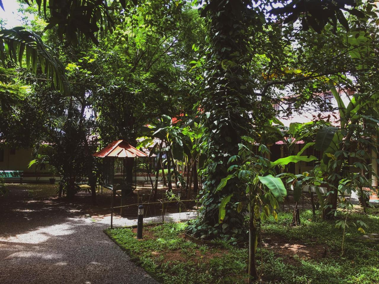 Bed & Breakfast Palm Grove Service 2*