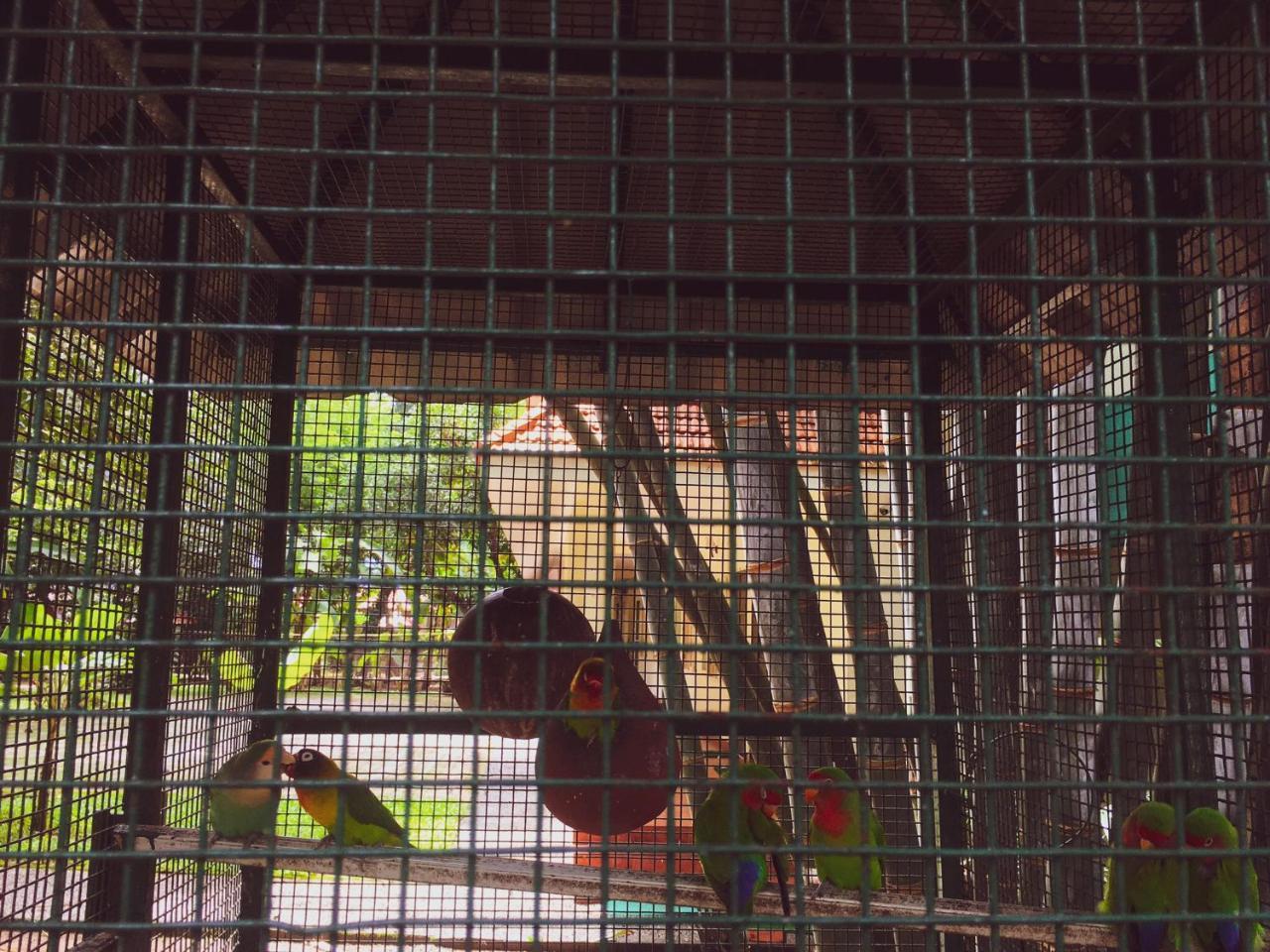 Palm Grove Service Bed & Breakfast Kochi