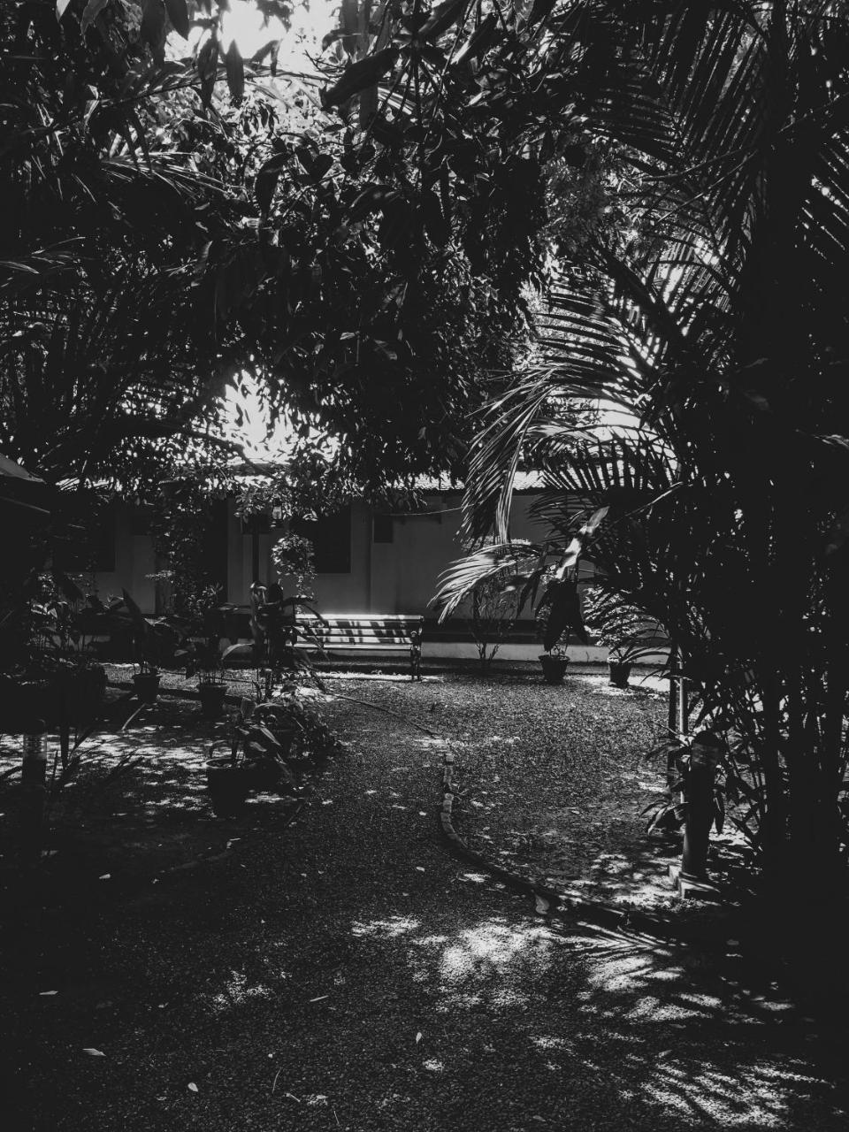 Palm Grove Service 2* Kochi