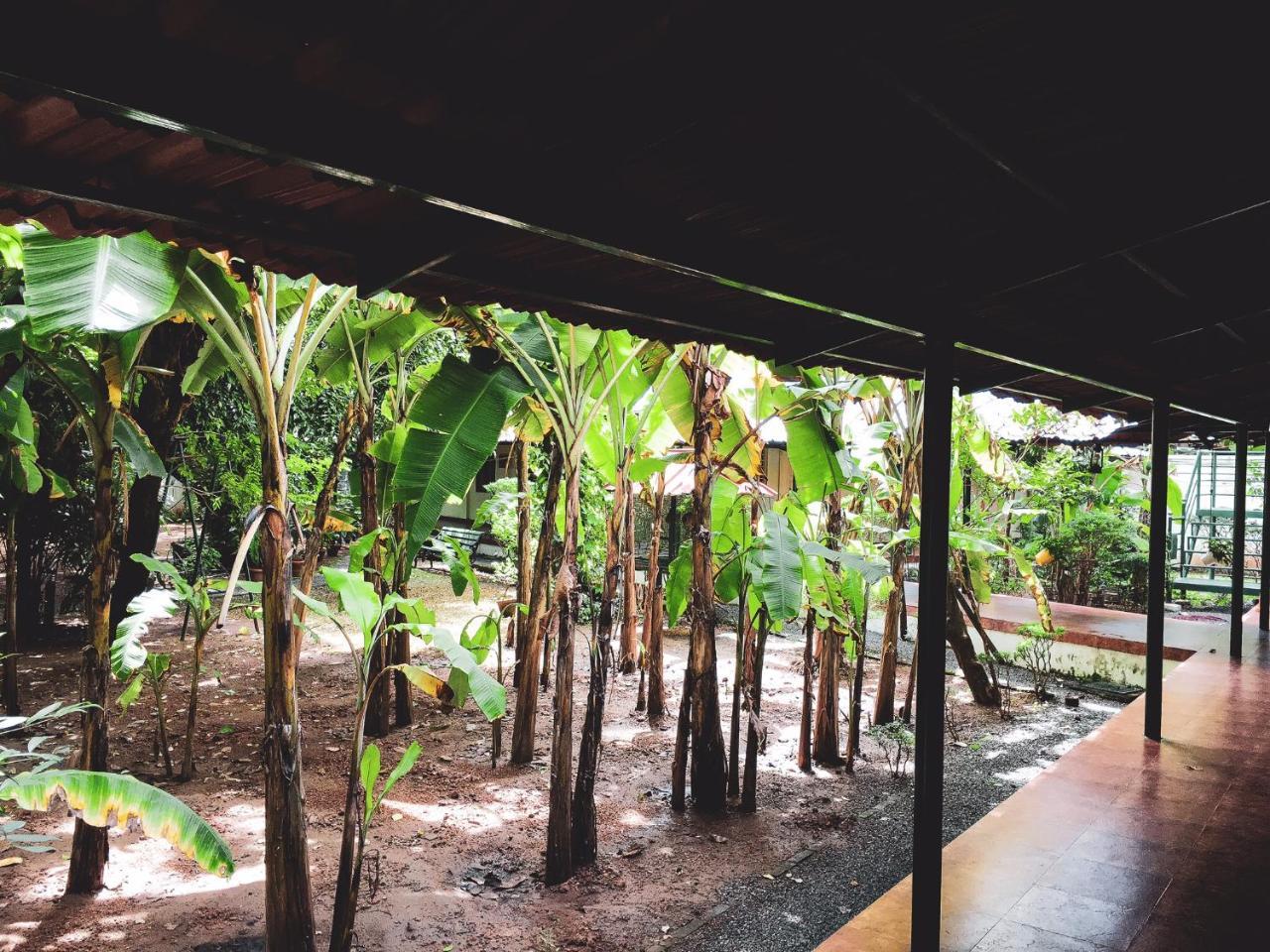 Palm Grove Service Bed & Breakfast Kochi