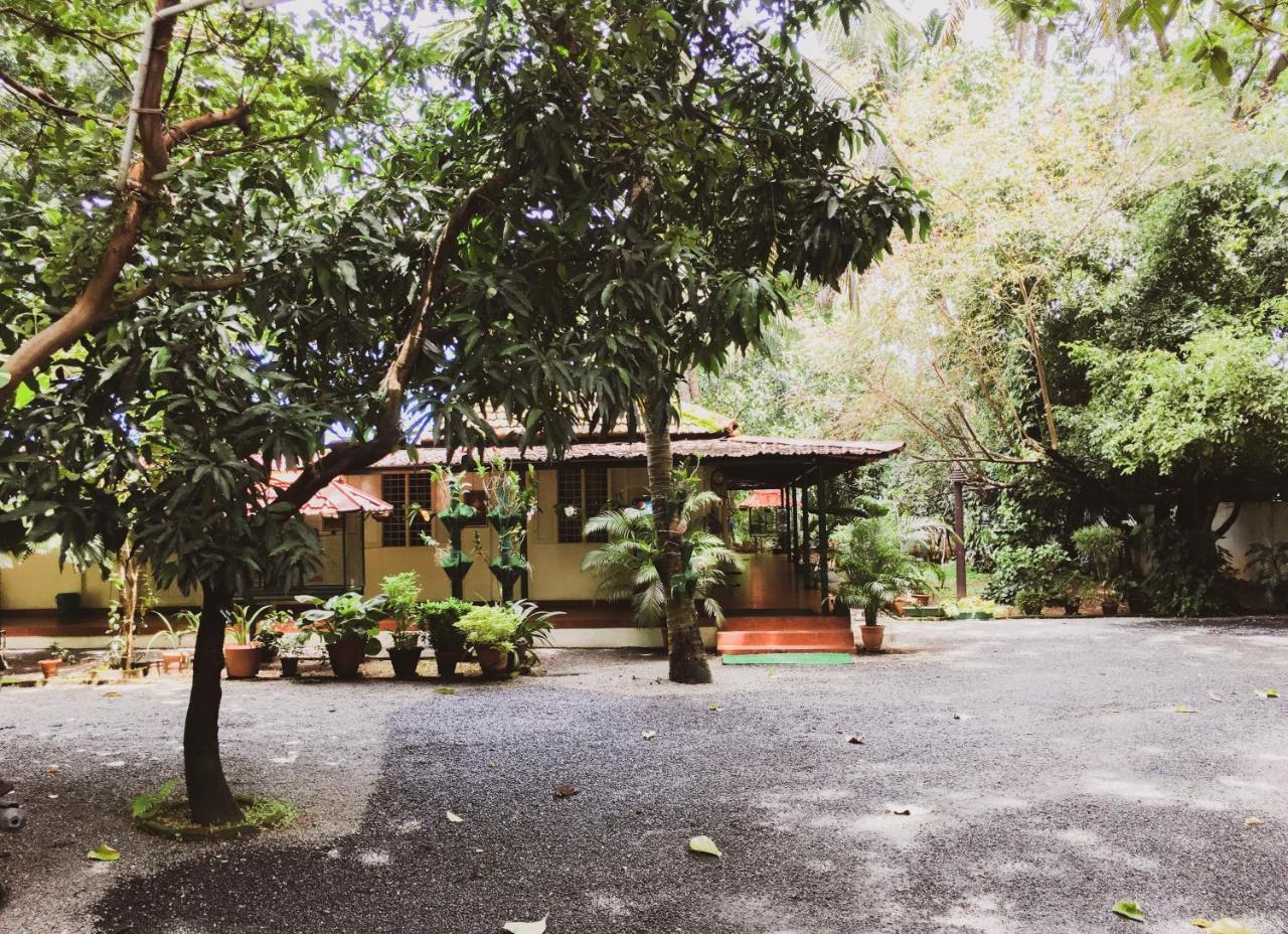Palm Grove Service Bed & Breakfast 2*