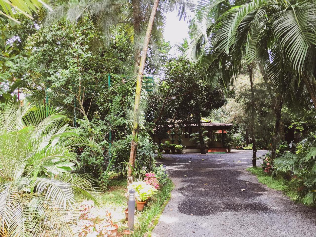 Palm Grove Service Bed & Breakfast