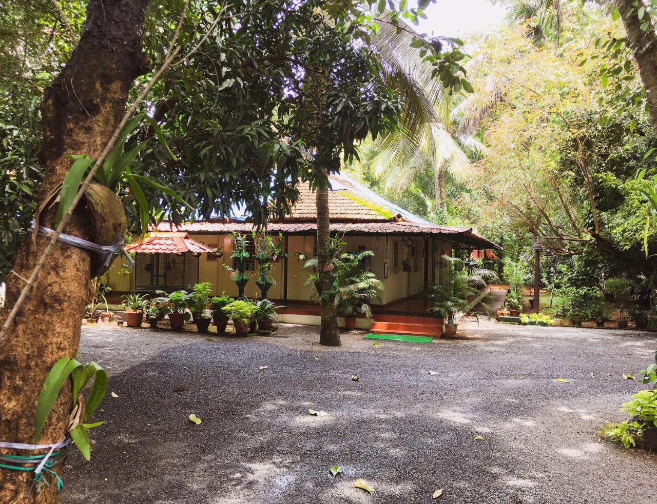 Palm Grove Service Bed & Breakfast