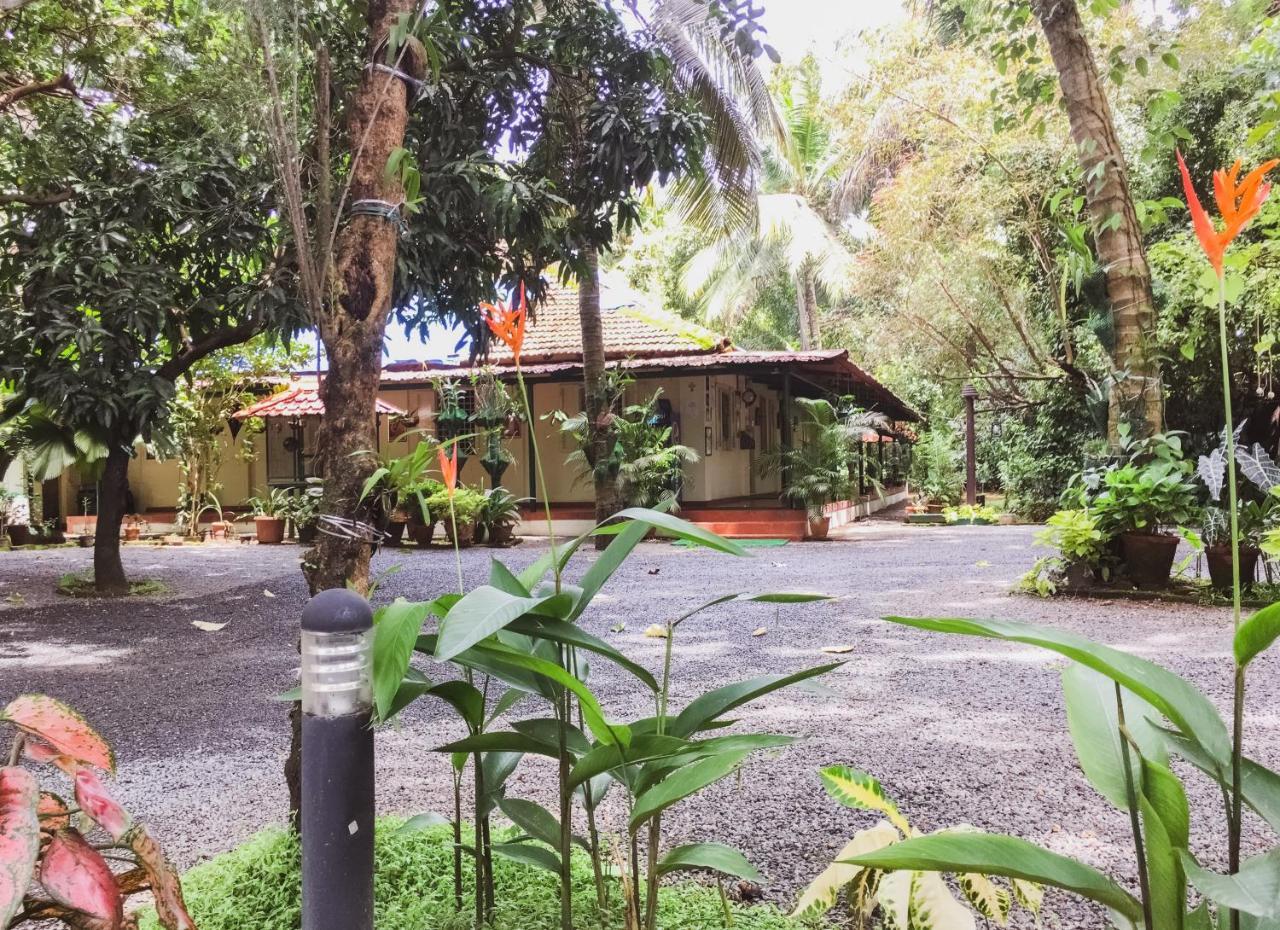 Palm Grove Service 2* Kochi