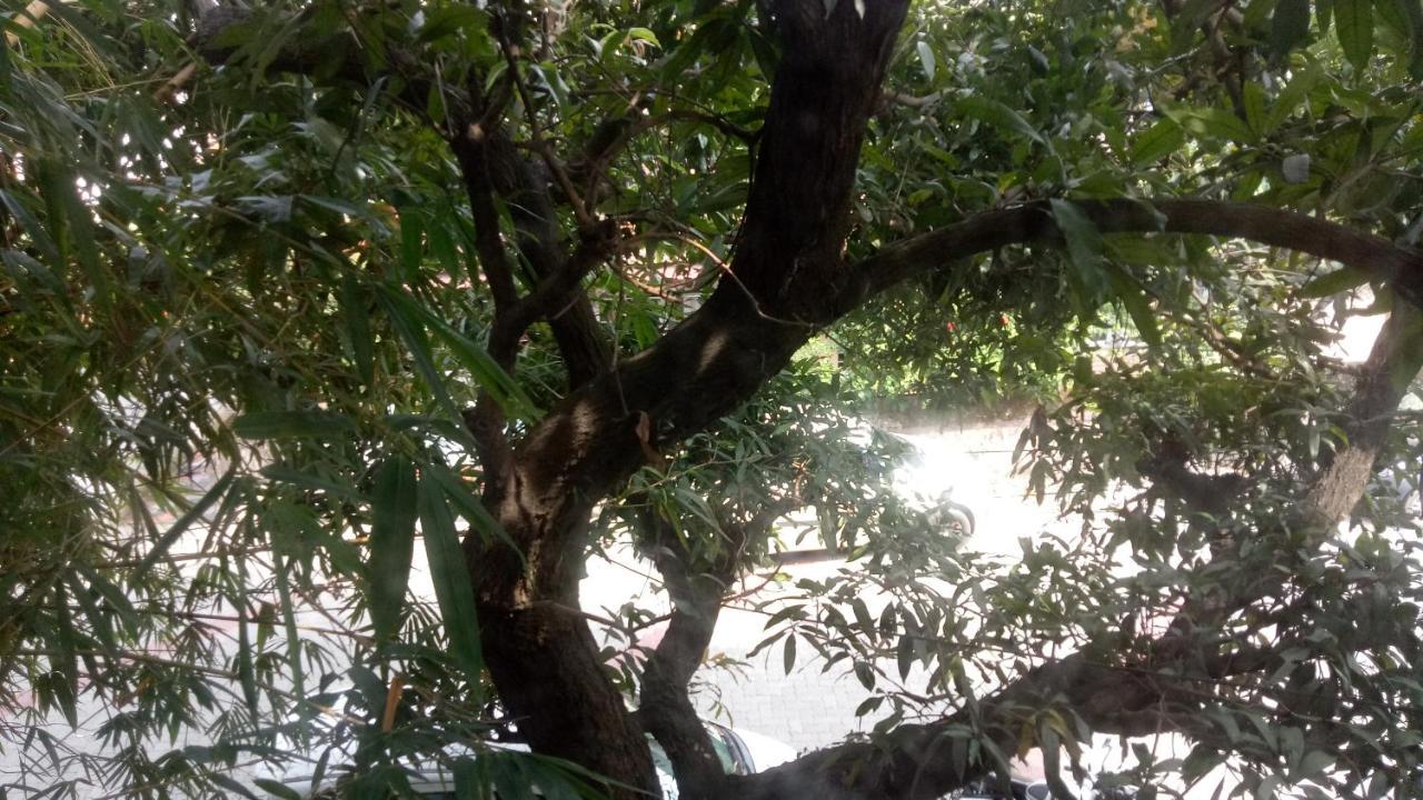 Adams Wood House Ayurveda *