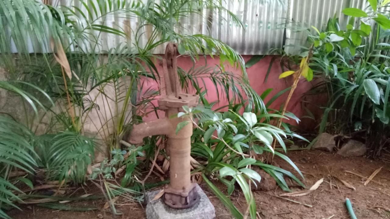 Adams Wood House Ayurveda Homestay *