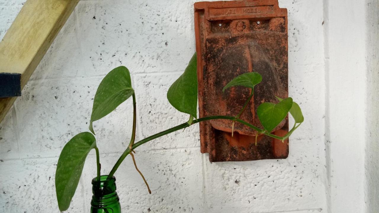 Adams Wood House Ayurveda Homestay *