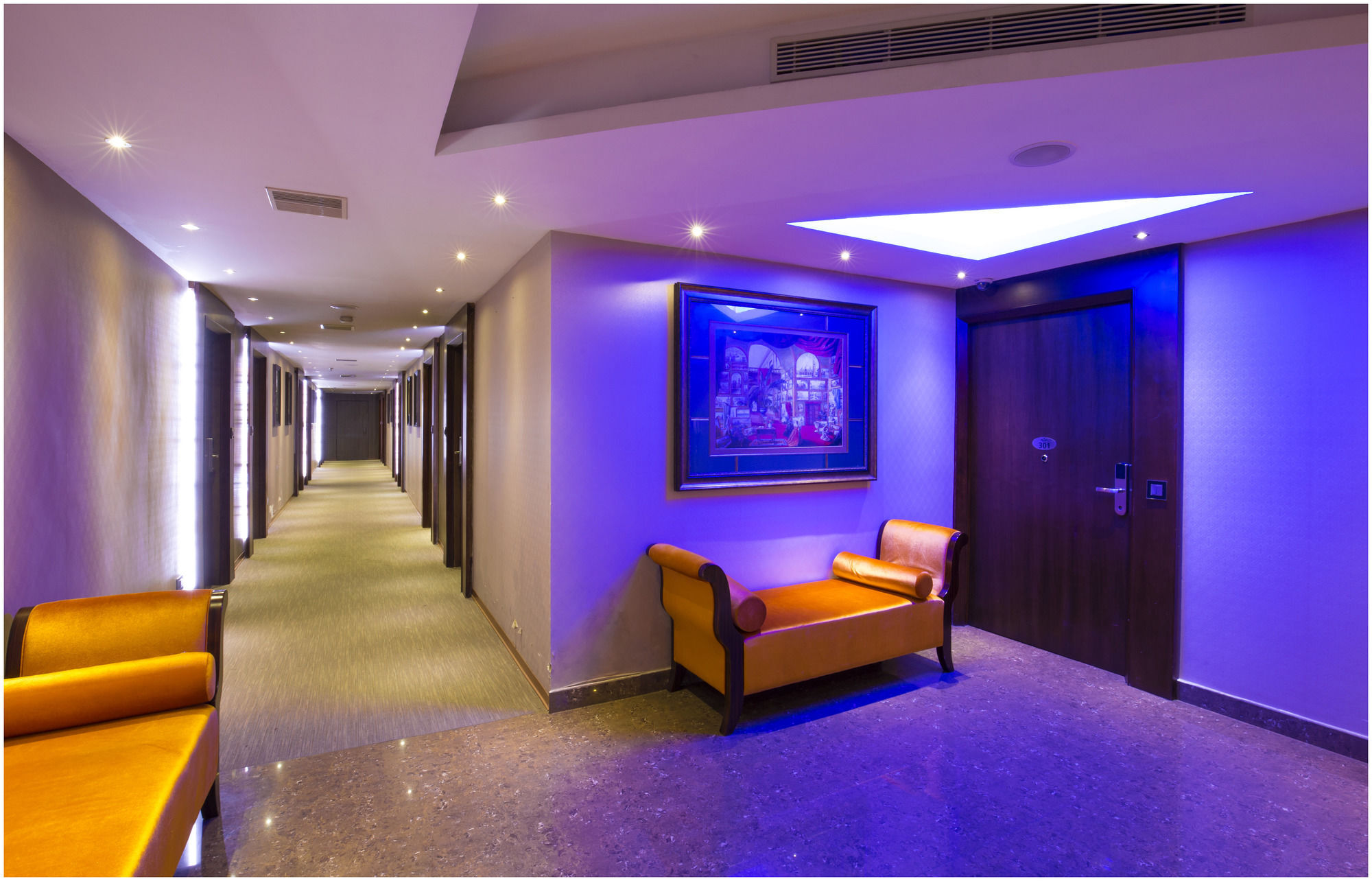 Hotel The Pgs Vedanta 4*