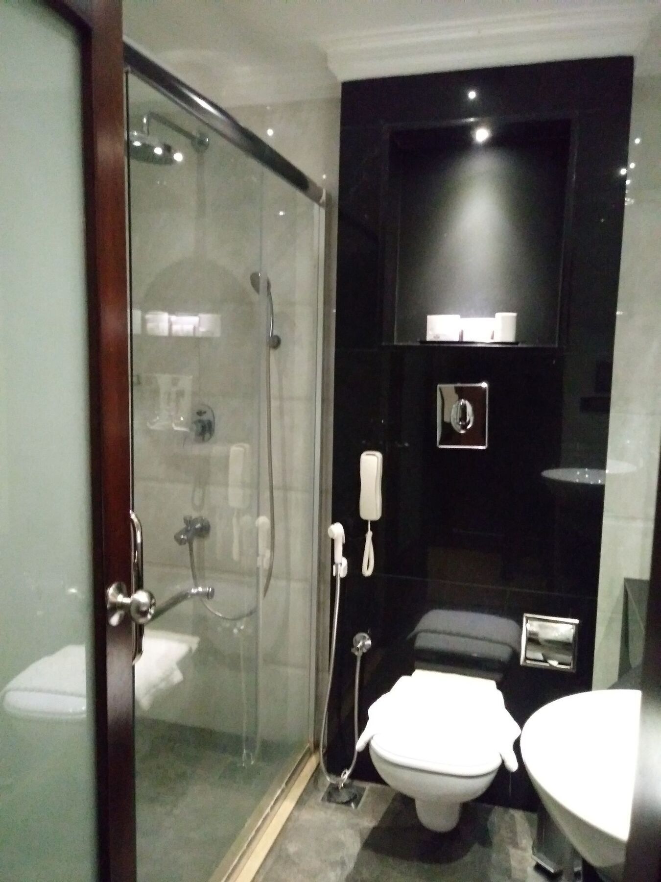 Hotel The Pgs Vedanta 4*