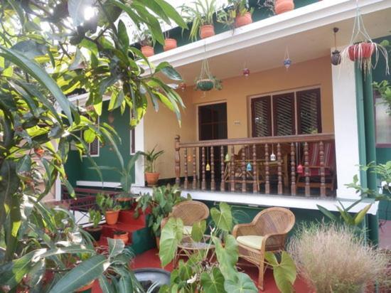 Lavender Homestay