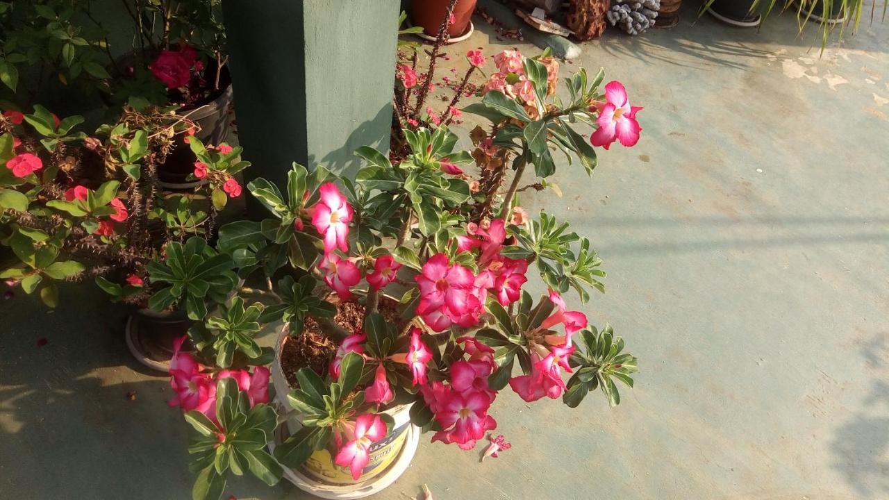 Homestay Heavenly *