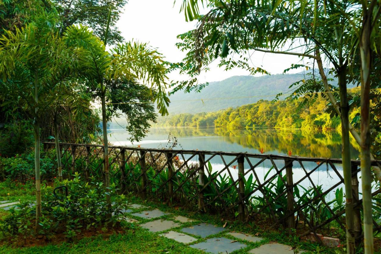Dhanyasree Nadiyoram *