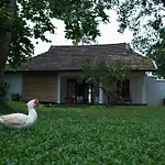 Olam On The Lake