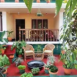 Green House Homestay