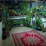 Dion Homestay
