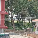 Annies Inn Homestay