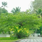 Muziris Harbour View