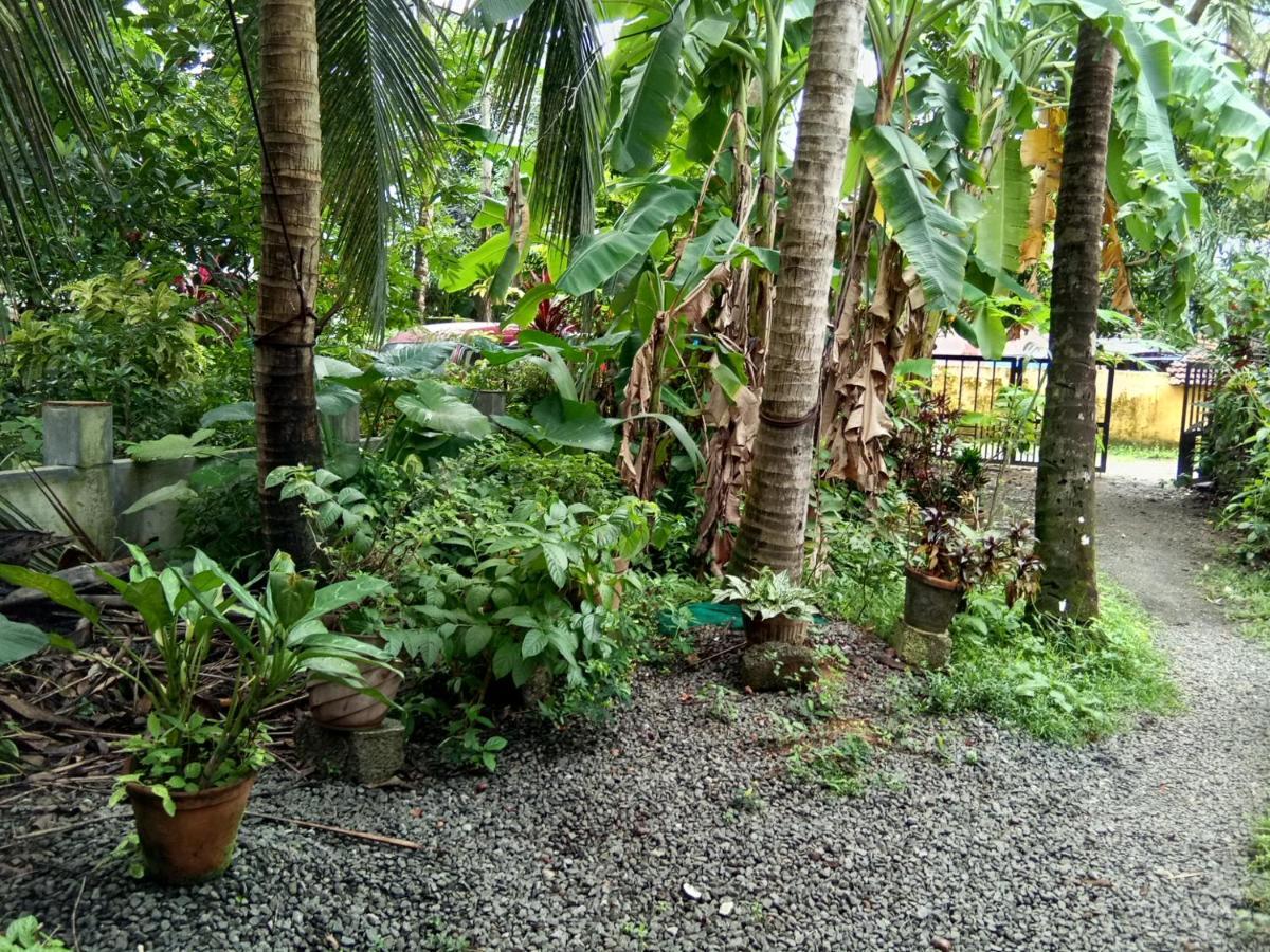 Coconut Grove Kochi